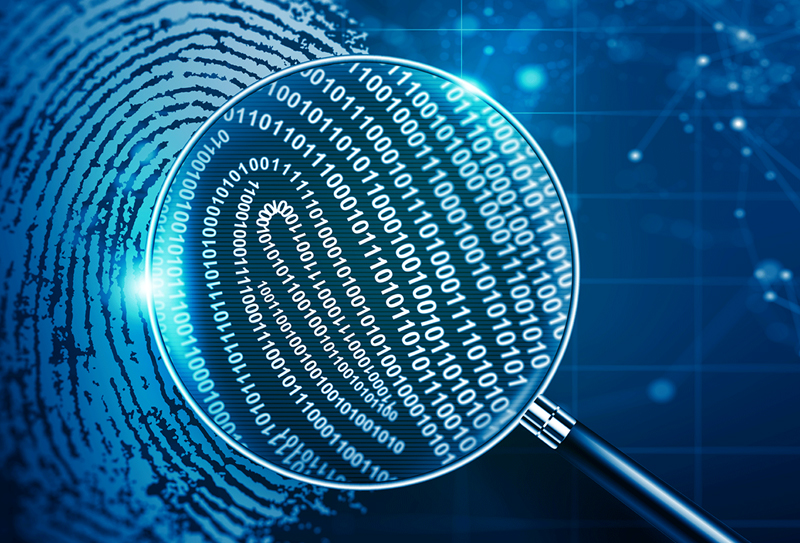 ConsultingPress Management COnsulting Global Expansion